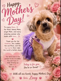 Mothers Day Love GIF by Papa’s Petz
