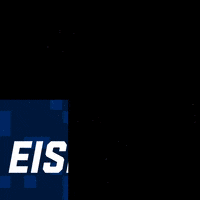 Sport Celebration GIF by Eisbären Berlin