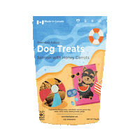 Summer Beach Sticker by Foley Dog Treat Company