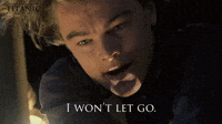 I Won't Let Go