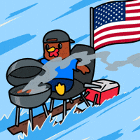 Independence Day America GIF by COQINU