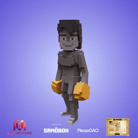 OwnTheDogeWow giphyupload GIF