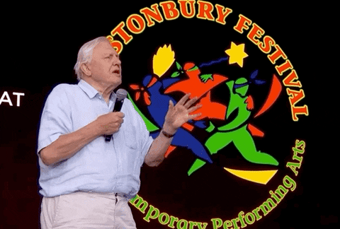 bbcglastonbury giphyupload glastonbury david attenborough glastonbury2019 GIF