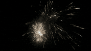 Celebrate Independence Day GIF by emibob