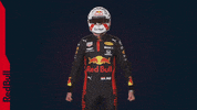 Ver Red Bull GIF by Red Bull Racing