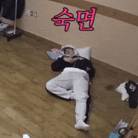 Choi Seungcheol Sleeping GIF