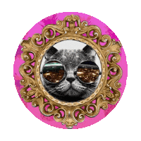cat Sticker