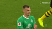 Football Soccer GIF by SV Werder Bremen