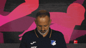 Tsg Hoffenheim Football GIF by Bundesliga