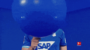 Tsg Hoffenheim Football GIF by Bundesliga
