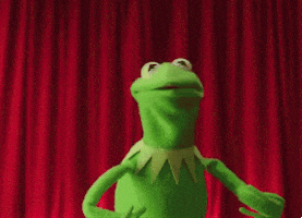 sesame street muppets GIF