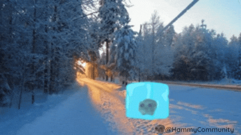 Snow Melting GIF by Sad Hamster