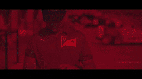 GIF by Manga Rosa Lab