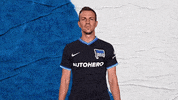 Bundesliga Berlin GIF by Hertha BSC
