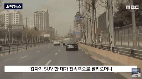 cuteborakang giphygifmaker GIF