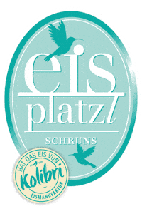 Partner Montafon Sticker by Eisplatzl
