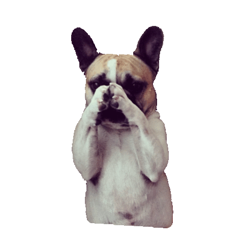 please STICKER by imoji