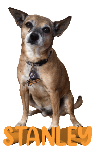Dog Stanley Sticker