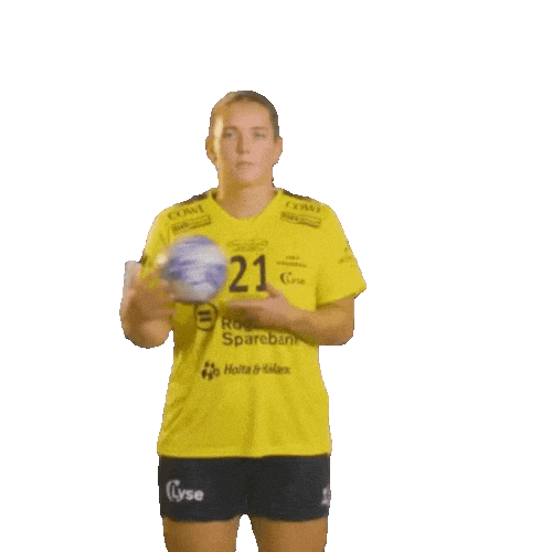 Rema1000Ligaen Sticker by Norsk Topphåndball