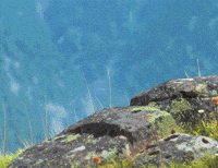 Peek A Boo What GIF by ENSI