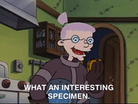 hey arnold nicksplat GIF