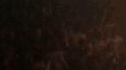 staffsunion  GIF