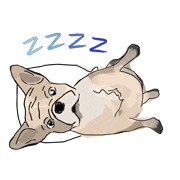 i love you dog Sticker by Ivo Adventures