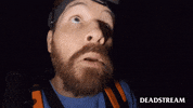 Halloween No GIF by Deadstream