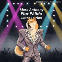 Marc Anthony Singing GIF by Doge Pound