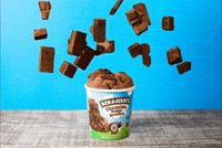 Ben & Jerry's National Ice Cream Day