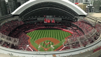 Blue Jays Baseball GIF by Toronto Blue Jays