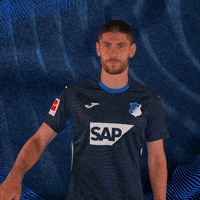 Hallo Andrej Kramaric GIF by TSG Hoffenheim
