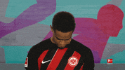 Posing Line Up GIF by Bundesliga