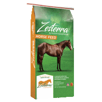 proearthanimalhealth horses feed equine cattle Sticker