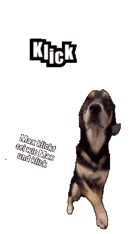 Max Touch Sticker