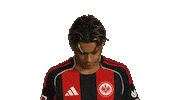 Look Up Eintracht Frankfurt Sticker by Bundesliga