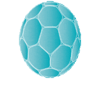 Tus_Komet_Arsten ball handball handbal handbol Sticker