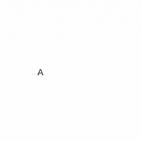 addventureszone  GIF