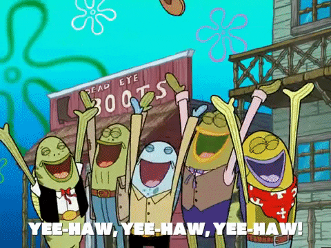 season 5 GIF by SpongeBob SquarePants