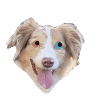 Dog Love Sticker
