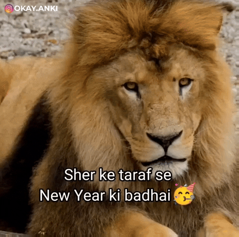 Happy New Year Sher GIF