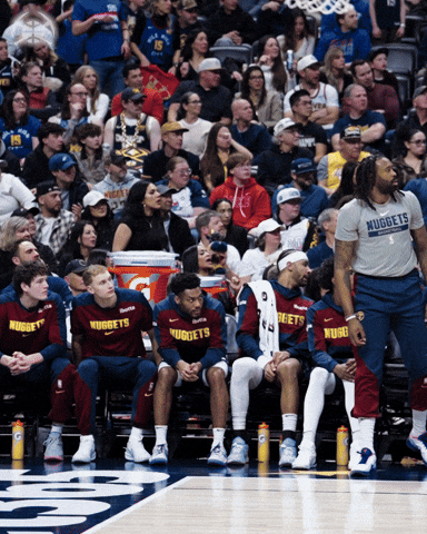 Celebration Bench GIF by Denver Nuggets