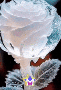 Amigos Buenas Noches GIF by Murcianys LLC