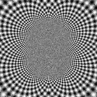 moire GIF by Myrto Amorgianou - Ruins Digitales