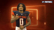 Cnfb GIF by Carson-Newman Athletics