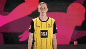 Borussia Dortmund Hello GIF by Bundesliga