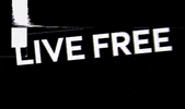 LibreTequila freedom tequila agave libre GIF