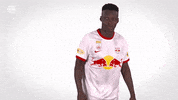 Red Bull Dancing GIF by FC Red Bull Salzburg