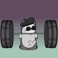 Work Out Fun GIF by Sappy Seals Community