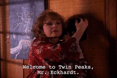 season 2 GIF by Twin Peaks on Showtime